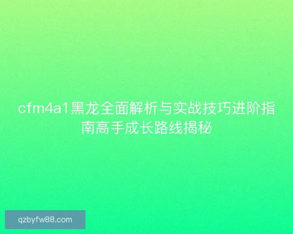 cfm4a1黑龙全面解析与实战技巧进阶指南高手成长路线揭秘