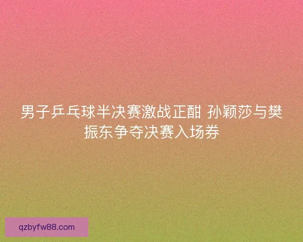 男子乒乓球半决赛激战正酣 孙颖莎与樊振东争夺决赛入场券